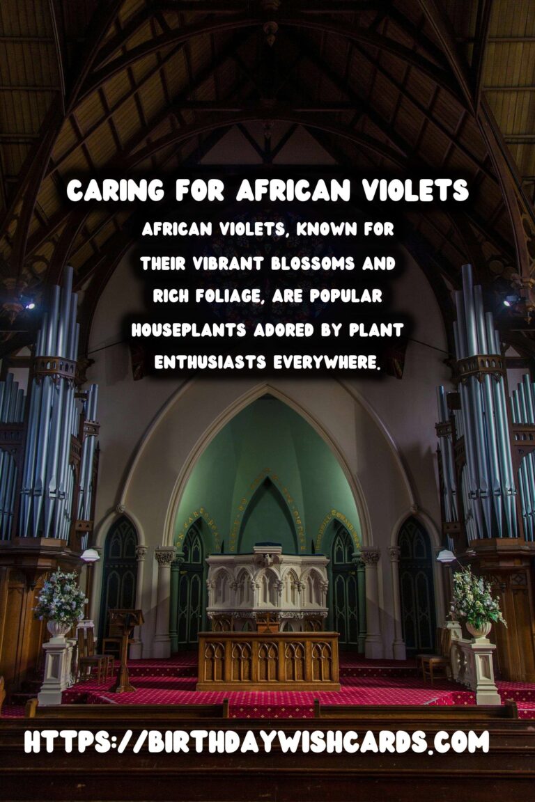 Caring for African Violets: A Guide to Year-Round Blooms