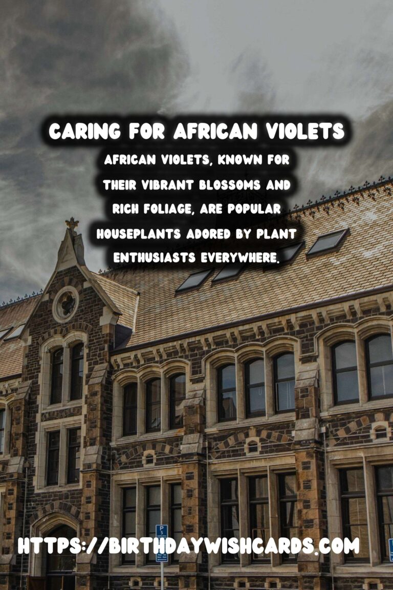 Caring for African Violets: A Guide to Year-Round Blooms