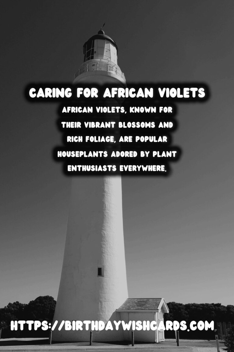 Caring for African Violets: A Guide to Year-Round Blooms