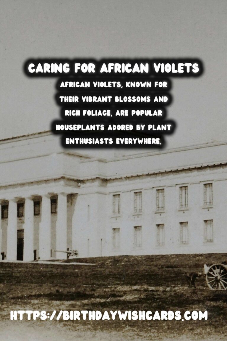 Caring for African Violets: A Guide to Year-Round Blooms