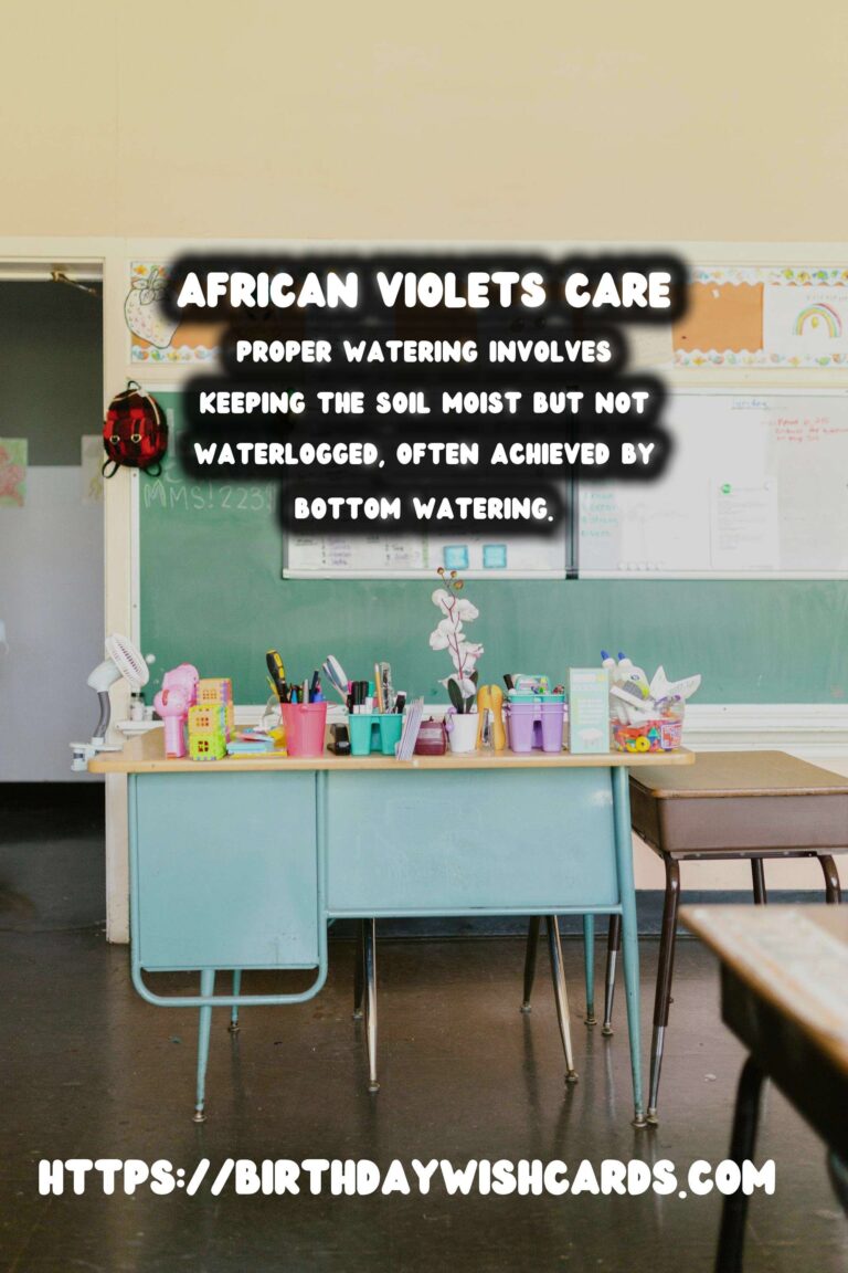Caring for African Violets: Blooms and Essential Care Tips