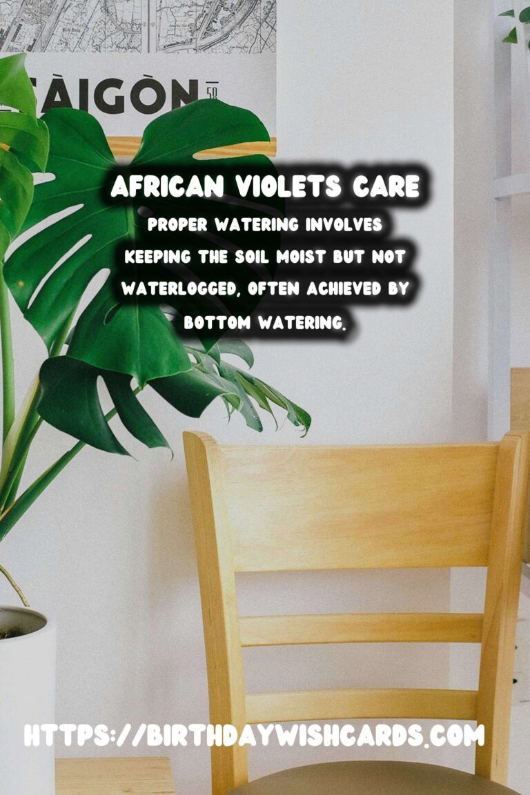 Caring for African Violets: Blooms and Essential Care Tips