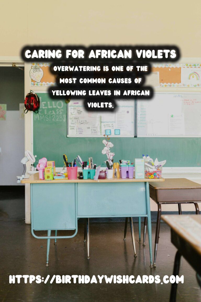 Caring for African Violets: Understanding and Fixing Yellowing Leaves