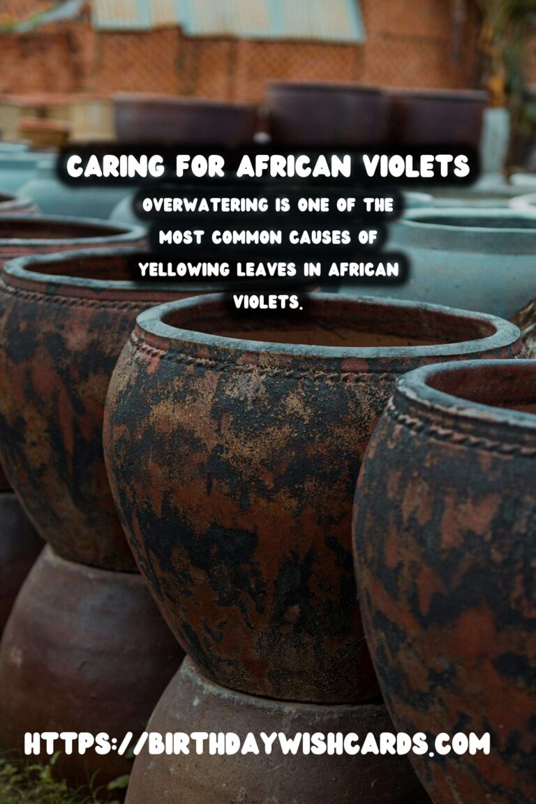Caring for African Violets: Understanding and Fixing Yellowing Leaves