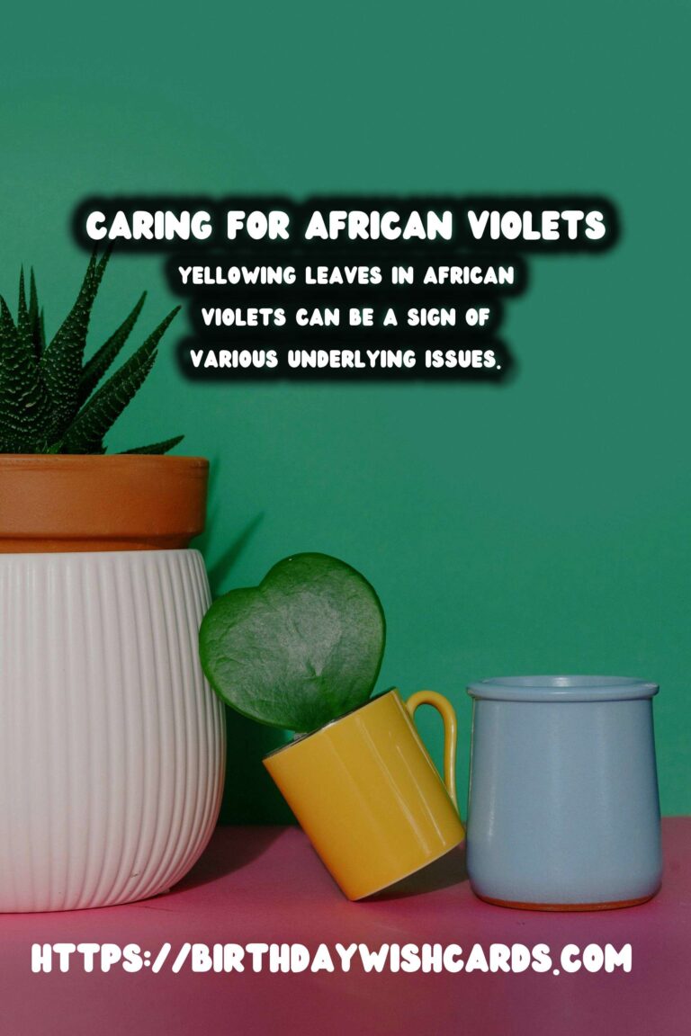 Caring for African Violets: Understanding and Fixing Yellowing Leaves