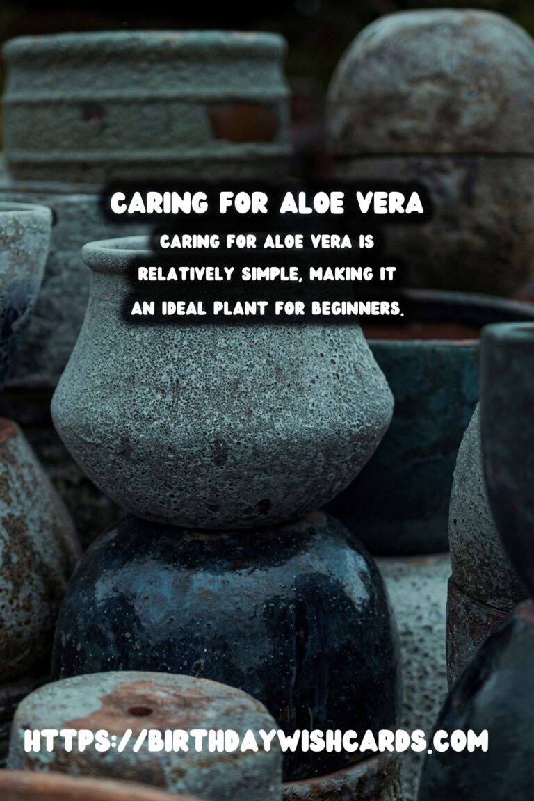 Caring for Aloe Vera: Benefits & Uses