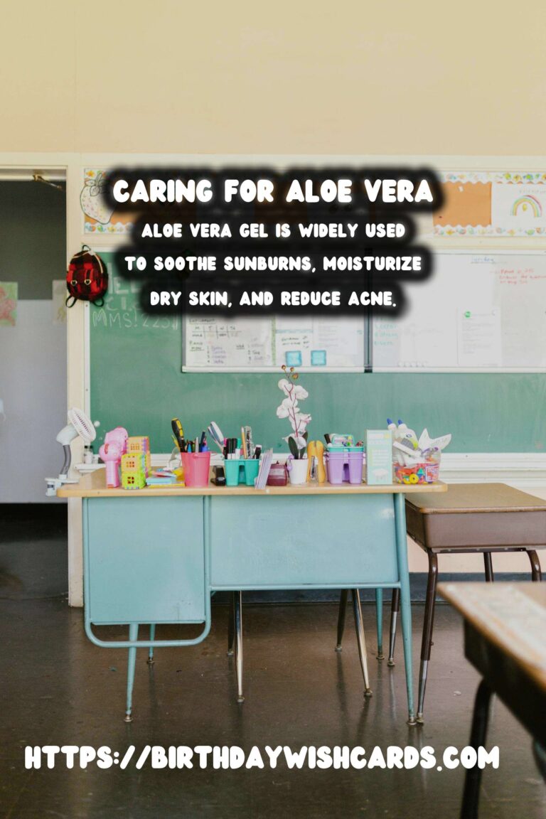 Caring for Aloe Vera: Benefits & Uses
