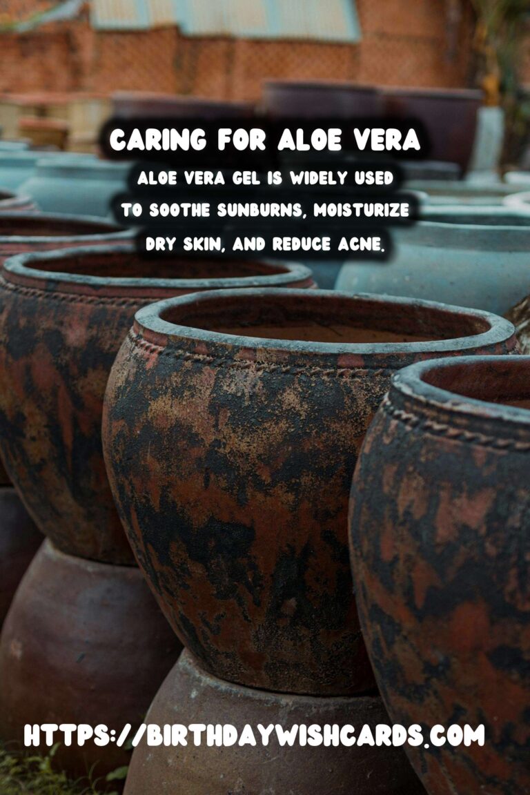 Caring for Aloe Vera: Benefits & Uses