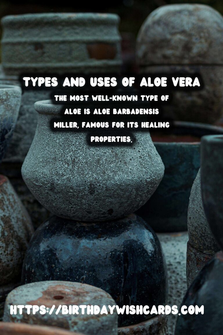 Caring for Aloe Vera: Different Types & Uses