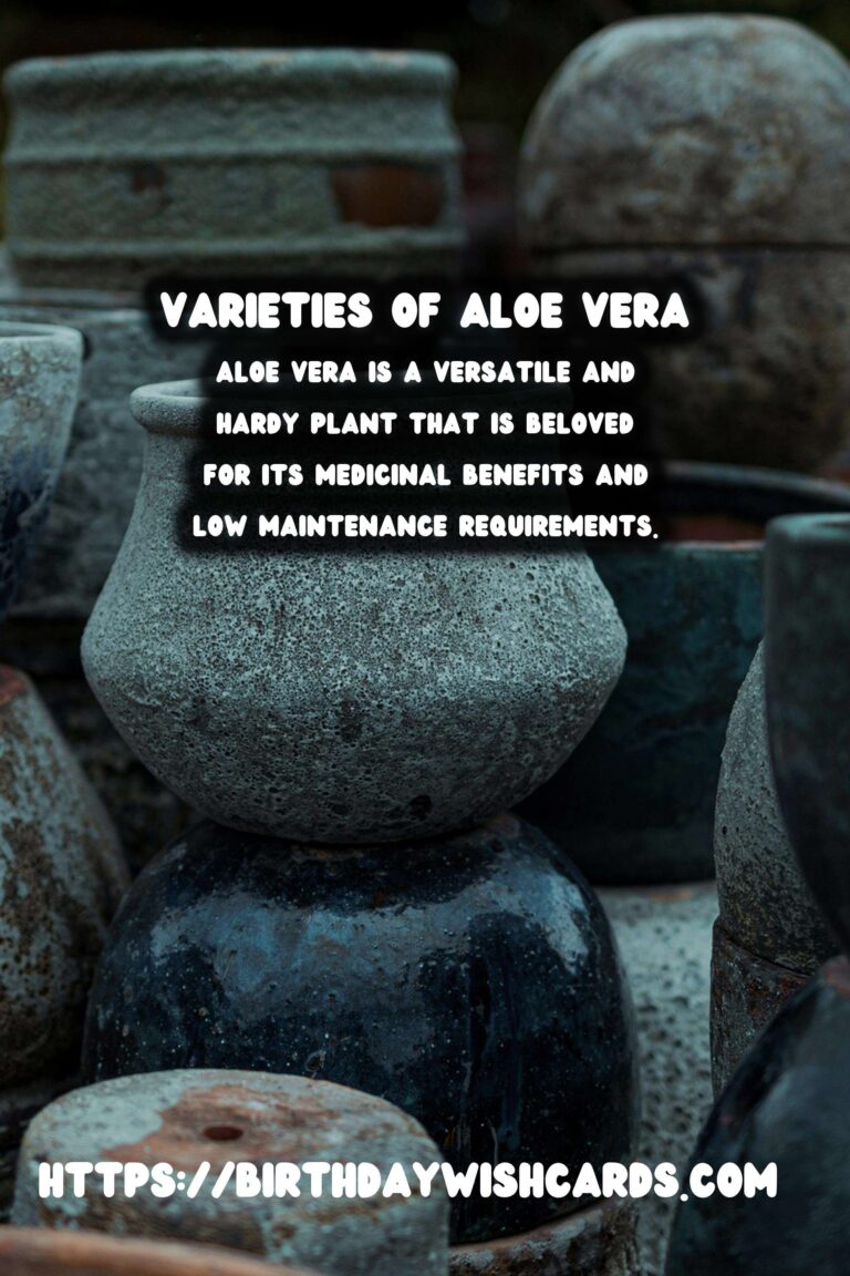 Caring for Aloe Vera: Different Varieties and How to Nurture Them