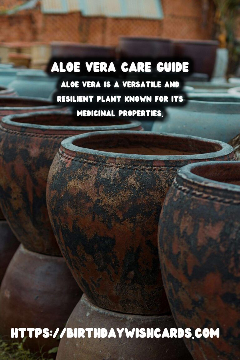 Caring for Aloe Vera: First Aid Plant Guide