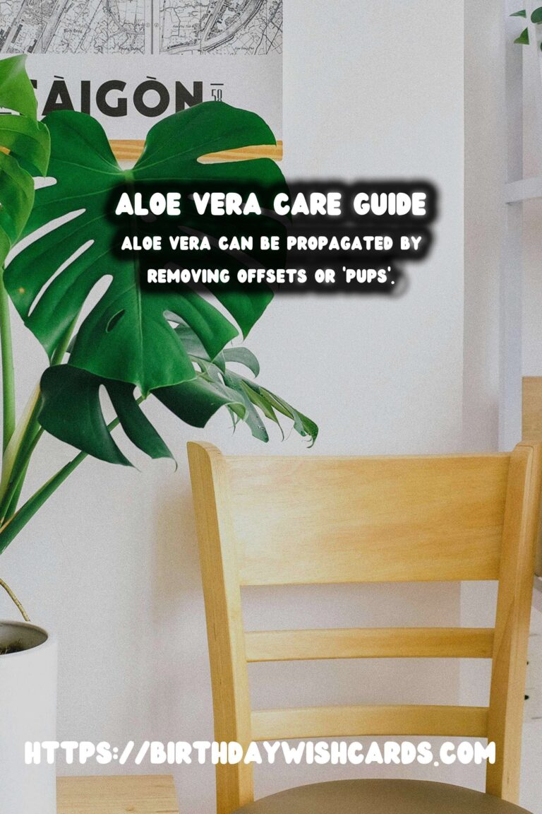 Caring for Aloe Vera: First Aid Plant Guide