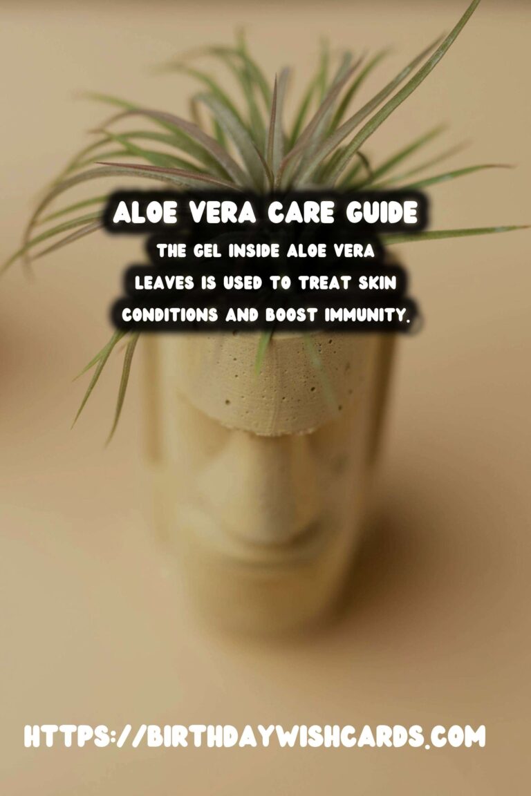 Caring for Aloe Vera: First Aid Plant Guide