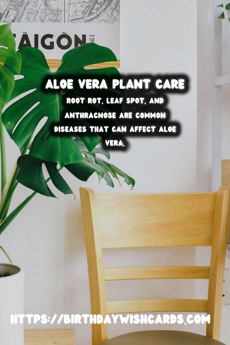 Caring for Aloe Vera: Managing Pests and Diseases for Healthy Growth