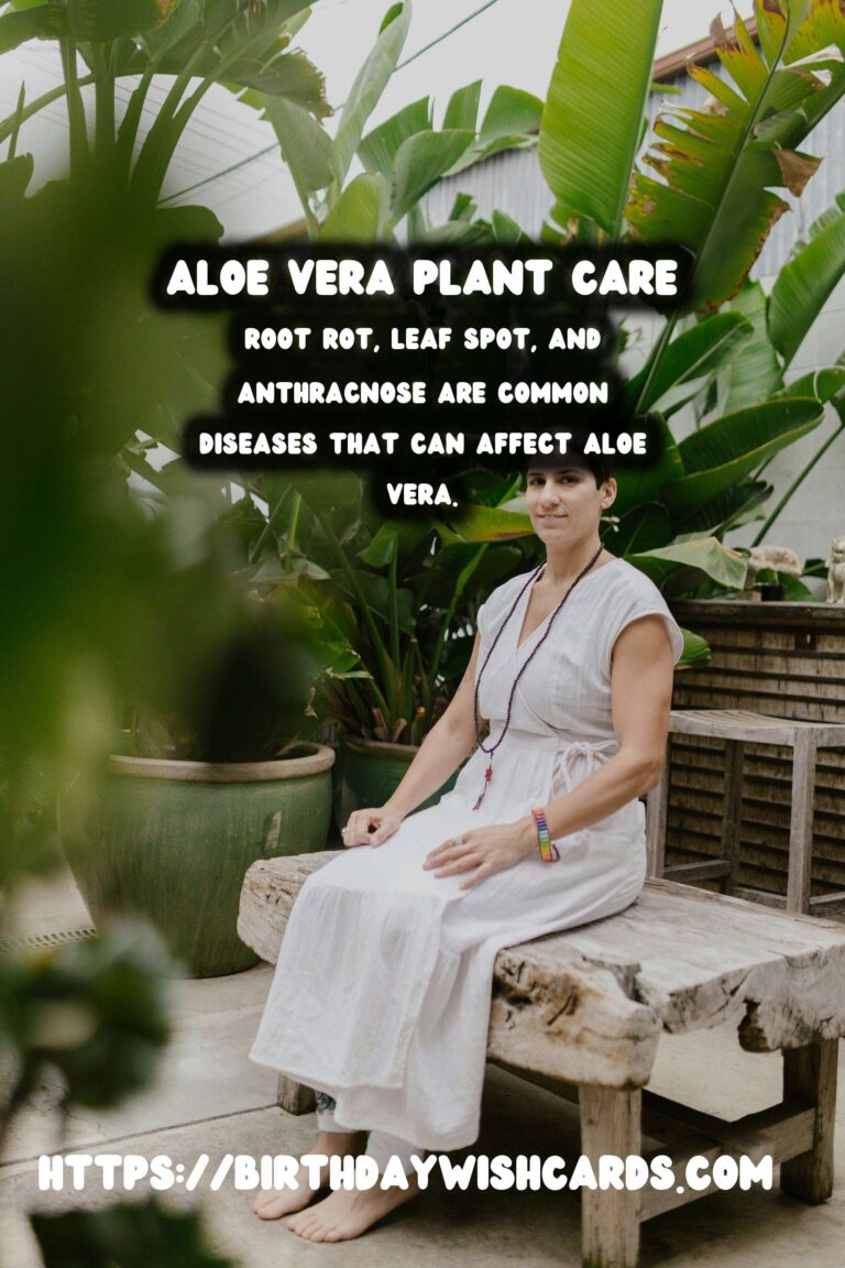 Caring for Aloe Vera: Managing Pests and Diseases for Healthy Growth