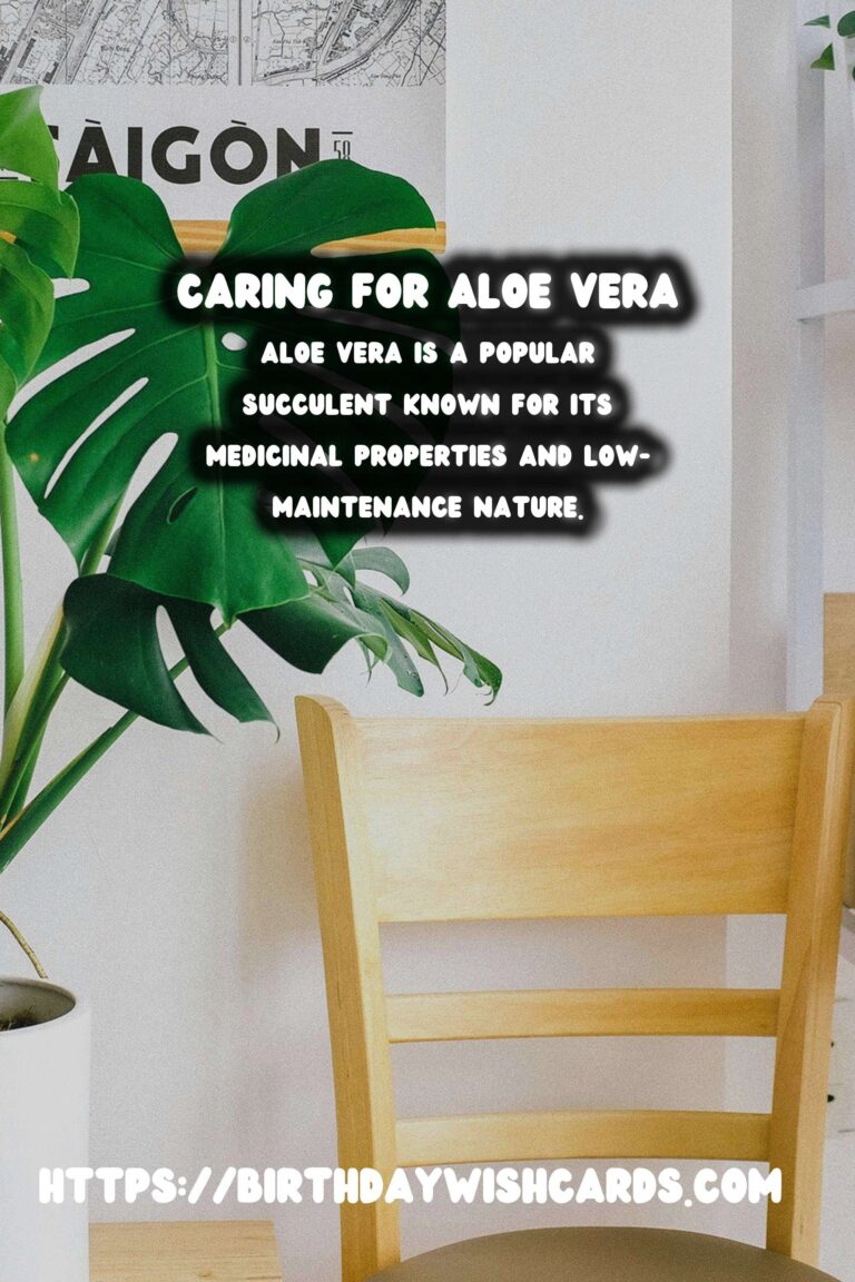 Caring for Aloe Vera: Optimal Watering Schedule for Healthy Growth