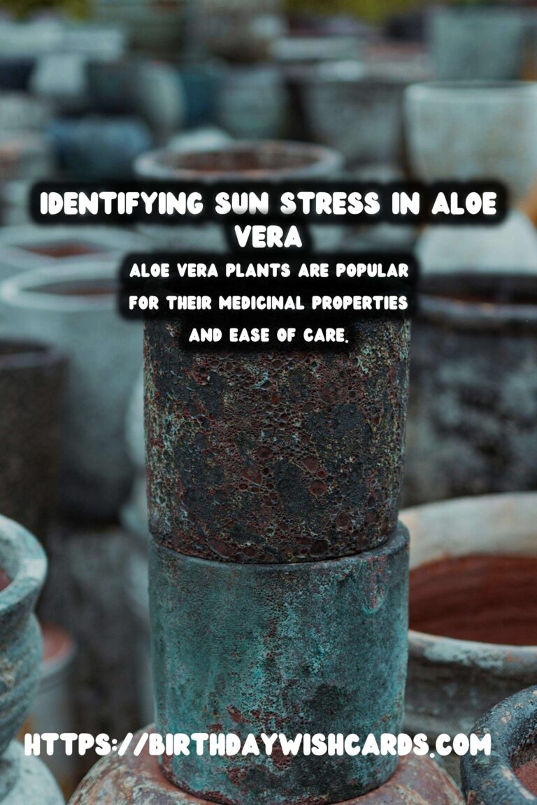 Caring for Aloe Vera Plants: Identifying Sun Stress and Ensuring Optimal Growth