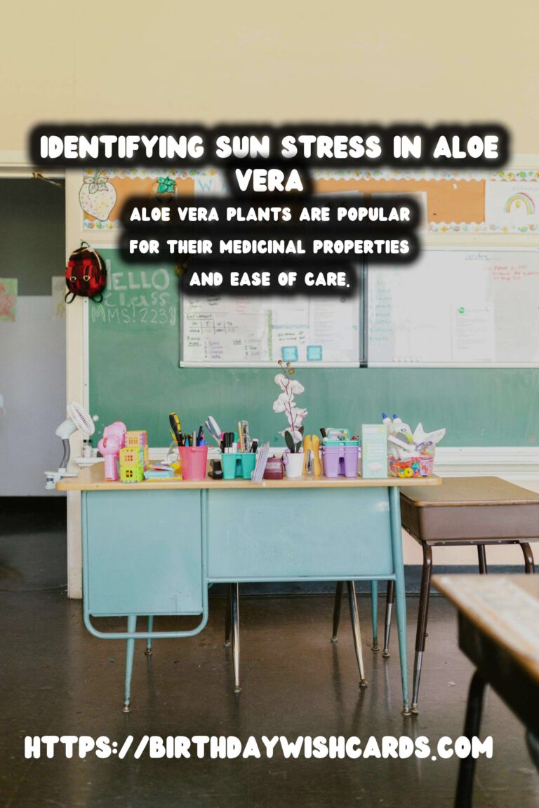 Caring for Aloe Vera Plants: Identifying Sun Stress and Ensuring Optimal Growth