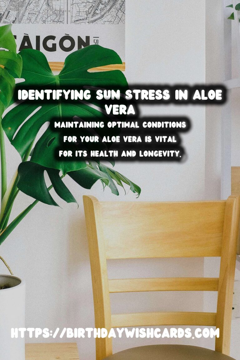 Caring for Aloe Vera Plants: Identifying Sun Stress and Ensuring Optimal Growth