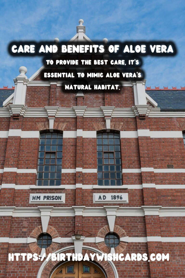 Caring for Aloe Vera: The Ultimate Medicinal Plant