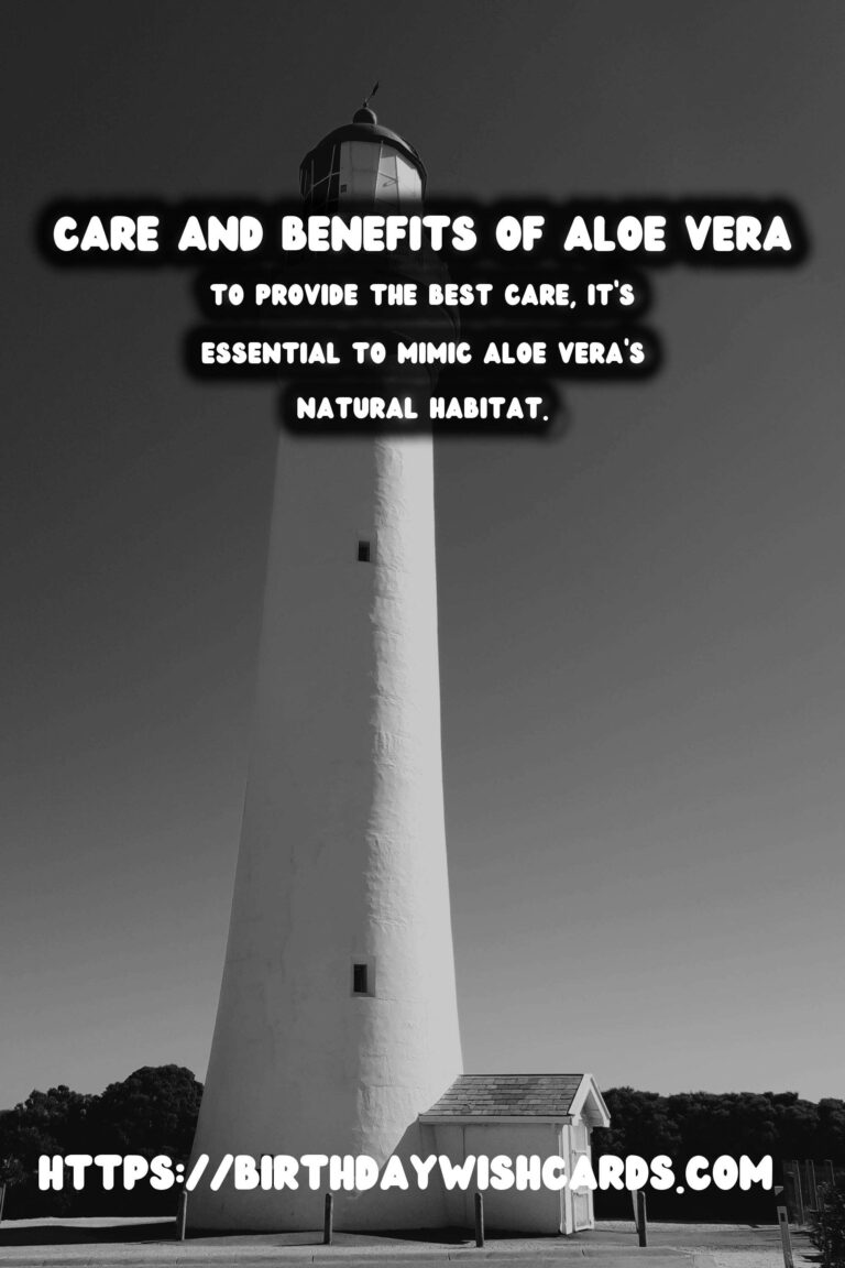 Caring for Aloe Vera: The Ultimate Medicinal Plant