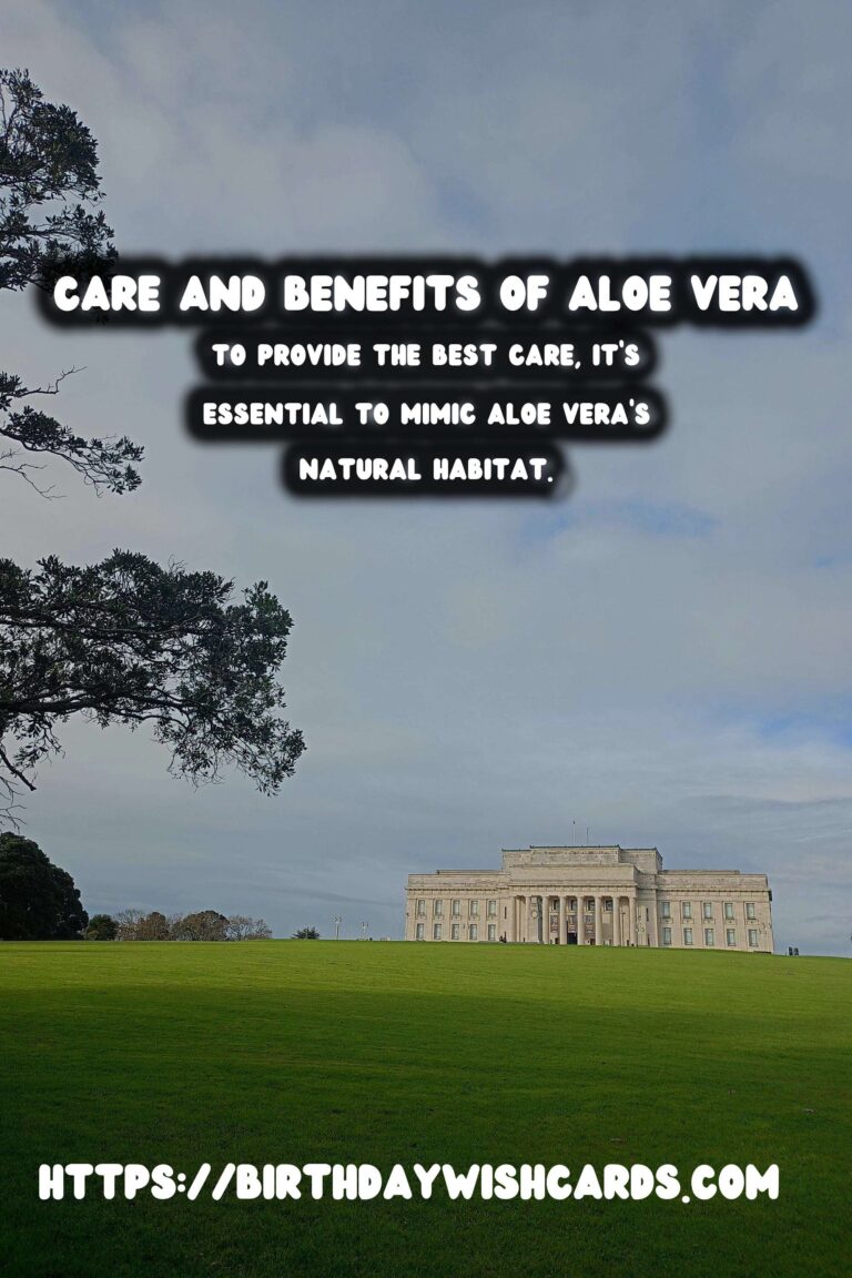 Caring for Aloe Vera: The Ultimate Medicinal Plant