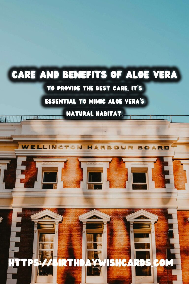 Caring for Aloe Vera: The Ultimate Medicinal Plant