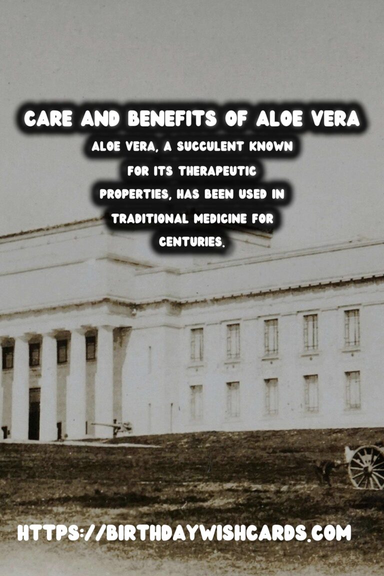 Caring for Aloe Vera: The Ultimate Medicinal Plant