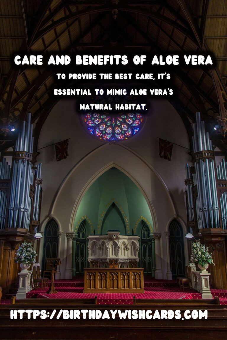 Caring for Aloe Vera: The Ultimate Medicinal Plant