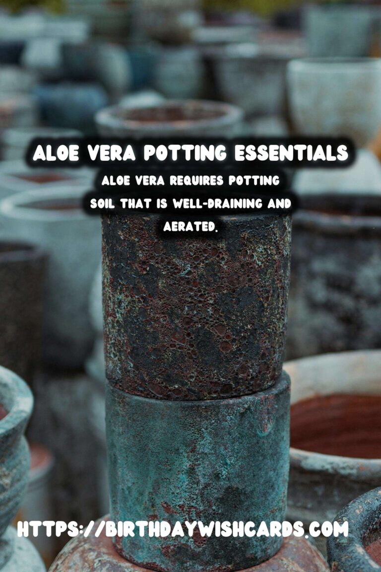 Caring for Aloe Vera: Understanding Potting Soil Needs