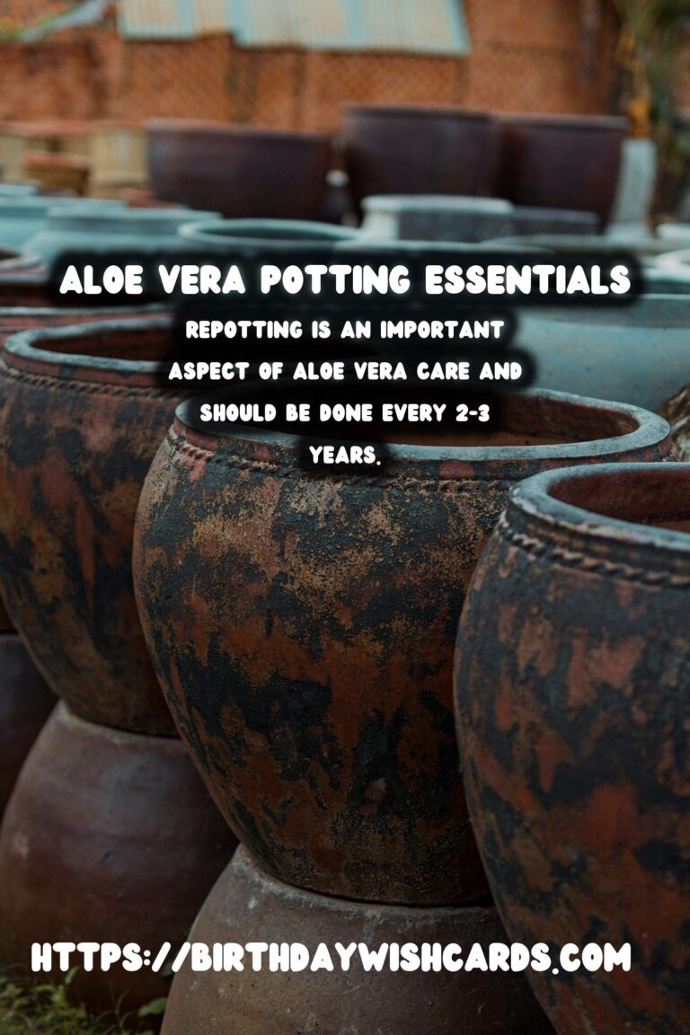 Caring for Aloe Vera: Understanding Potting Soil Needs