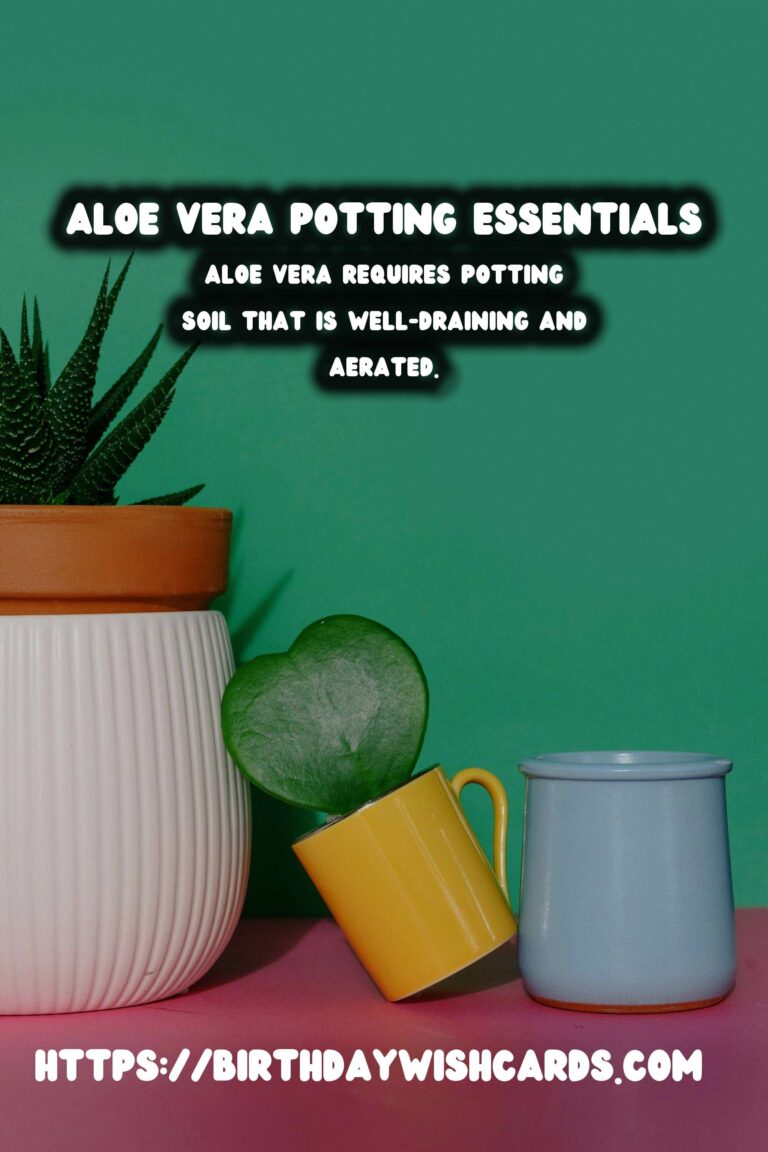 Caring for Aloe Vera: Understanding Potting Soil Needs