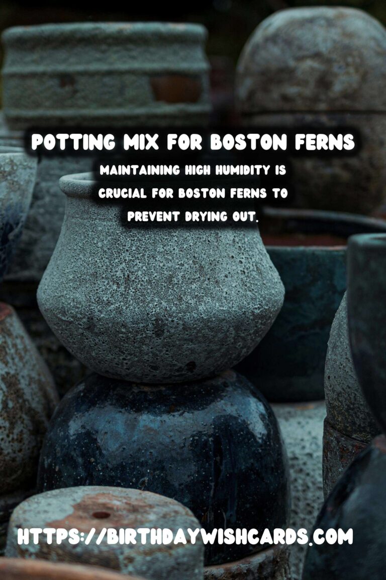 Caring for Boston Ferns: Best Potting Mix and Maintenance Tips