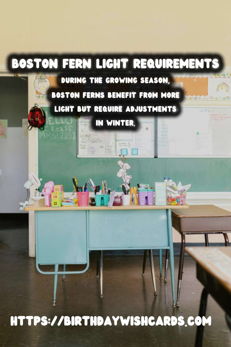 Caring for Boston Ferns: Essential Light Requirements