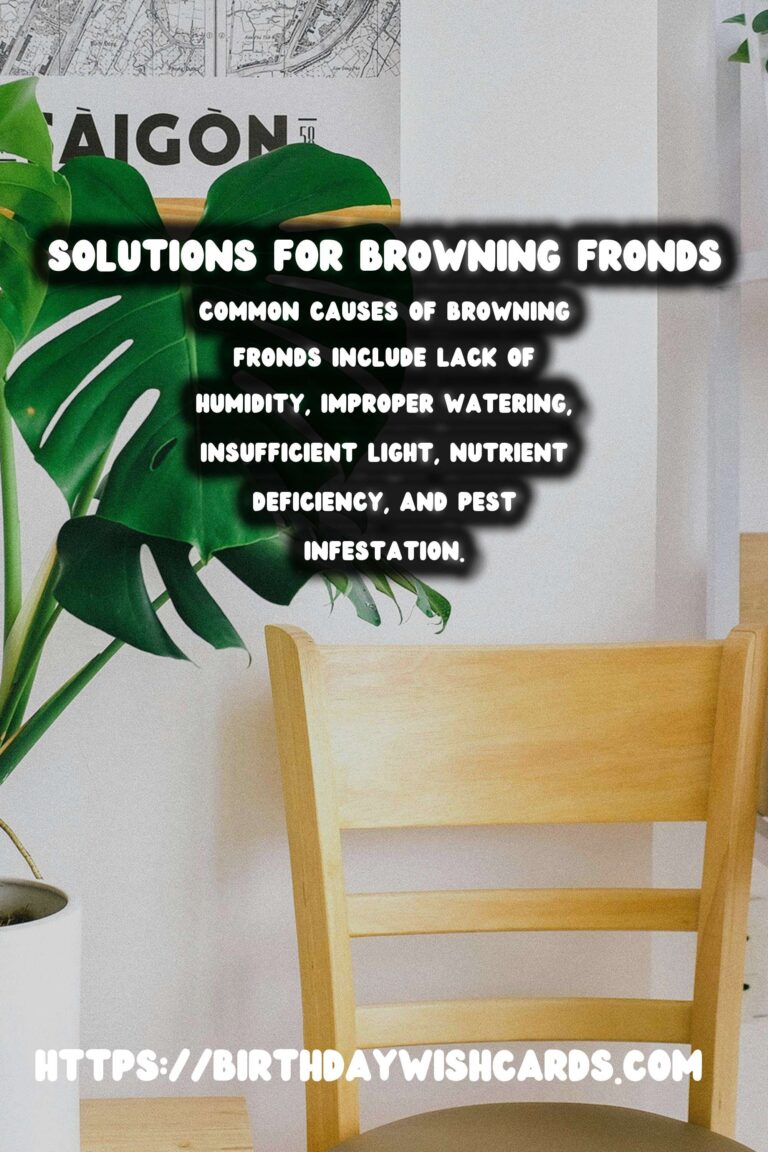 Caring for Boston Ferns: Solutions for Browning Fronds