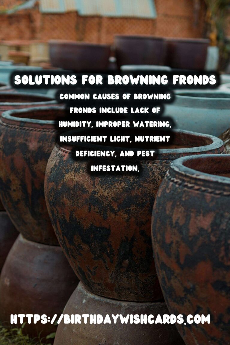 Caring for Boston Ferns: Solutions for Browning Fronds