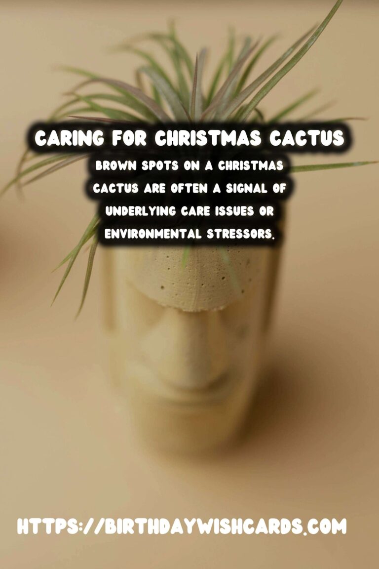 Caring for Christmas Cactus: Addressing Brown Spots Effectively