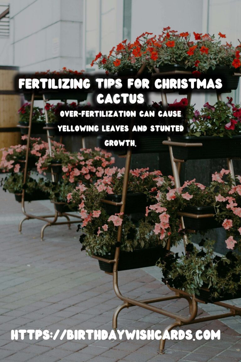 Caring for Christmas Cactus: Essential Fertilizing Tips