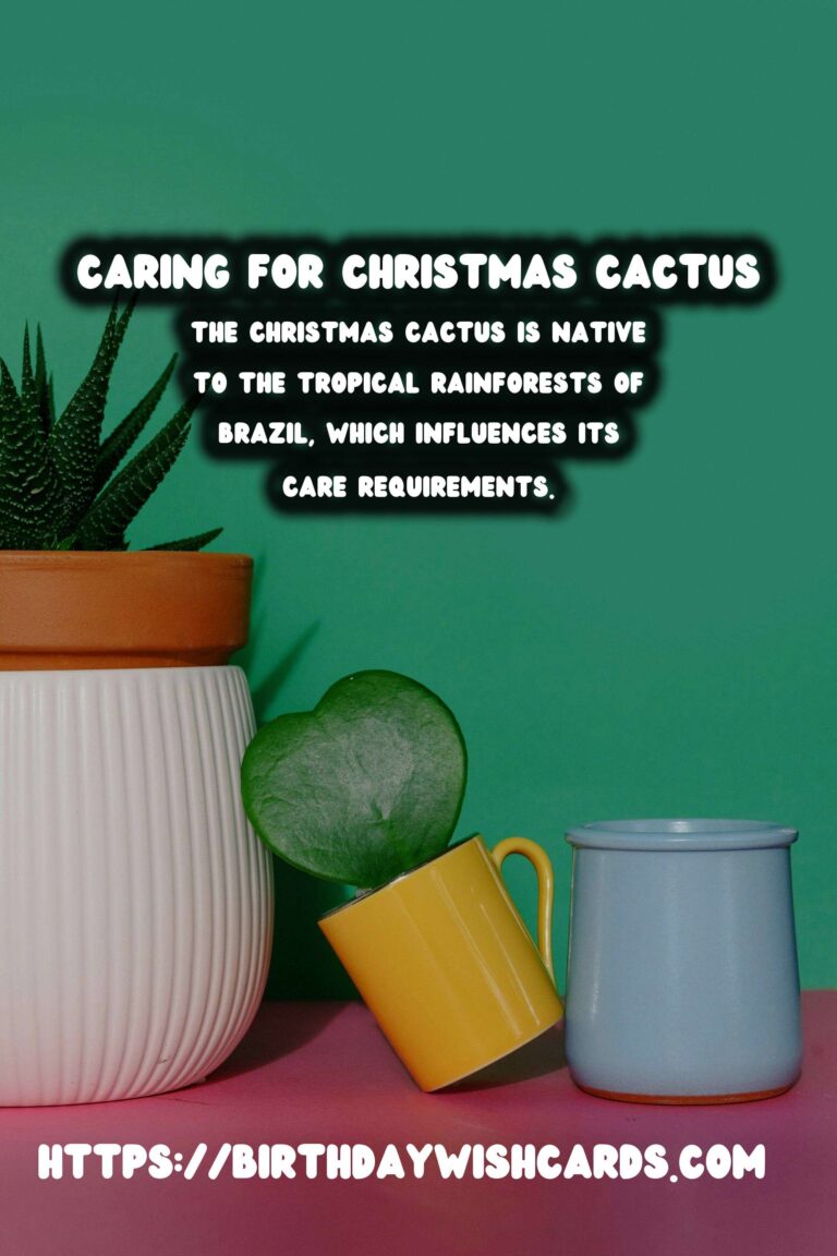 Caring for Christmas Cactus: Optimal Watering Schedule and Tips