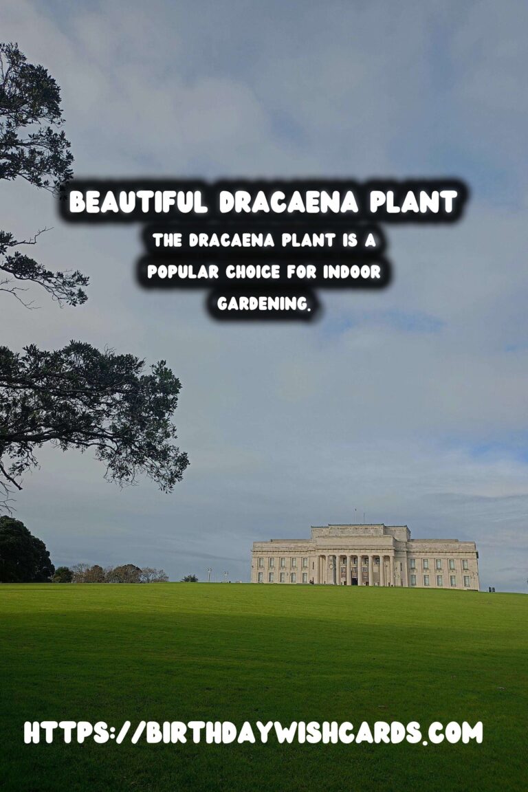 Caring for Dracaena Plants: Easy Indoor Trees