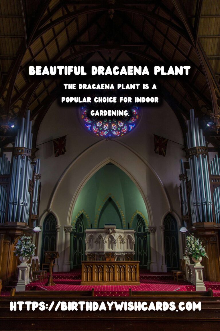 Caring for Dracaena Plants: Easy Indoor Trees