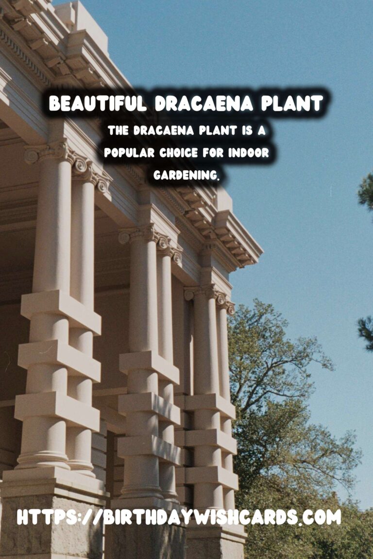 Caring for Dracaena Plants: Easy Indoor Trees