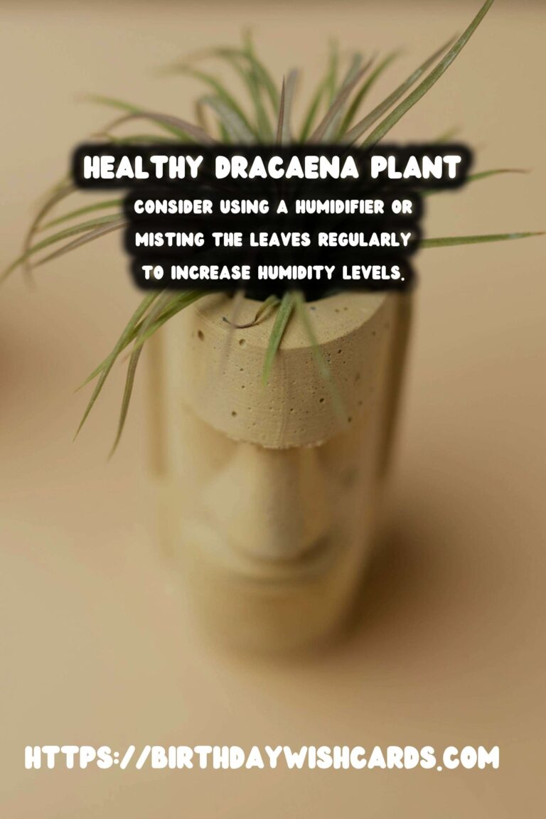 Caring for Dracaena Plants: How to Prevent and Treat Brown Tips and Edges
