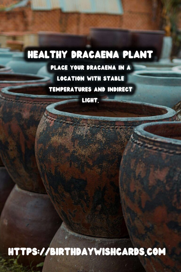 Caring for Dracaena Plants: How to Prevent and Treat Brown Tips and Edges
