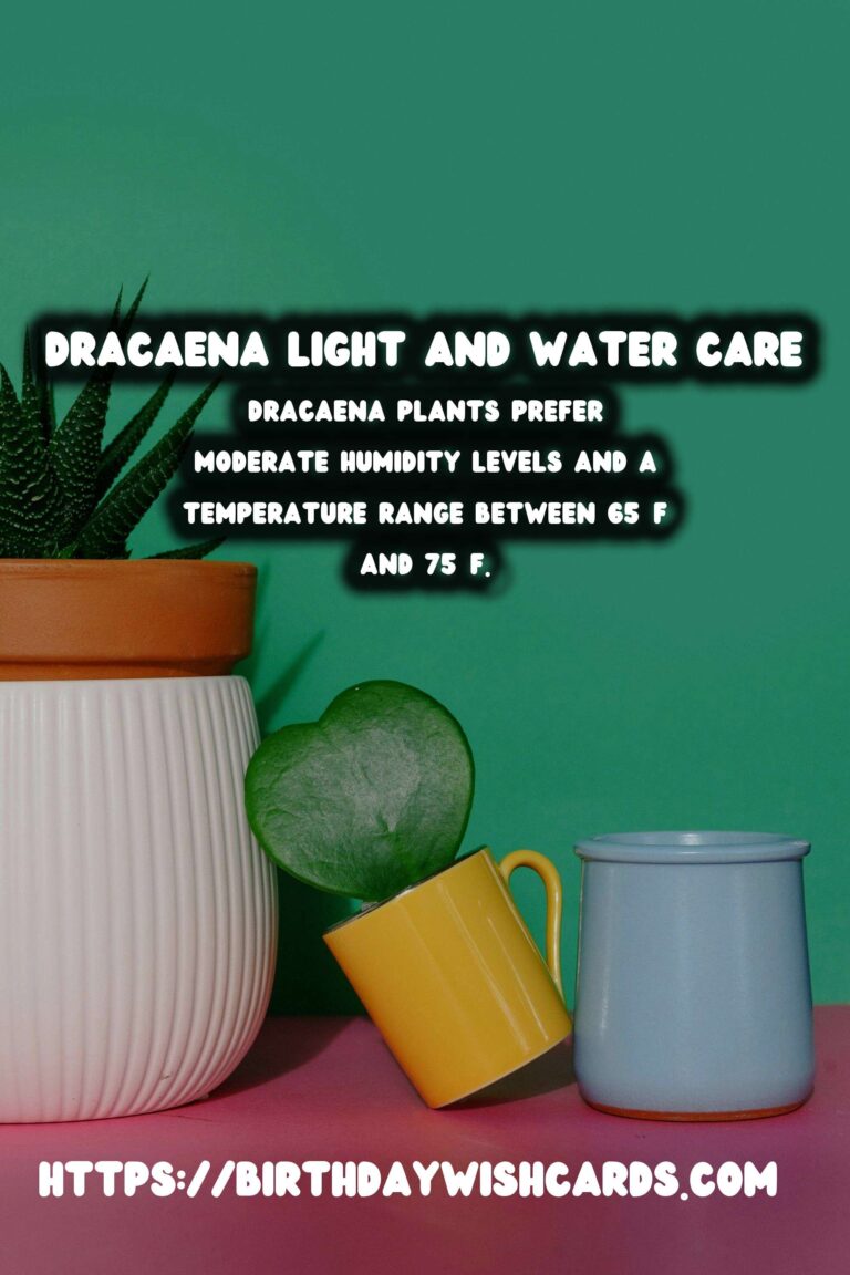 Caring for Dracaena Plants: Light and Water Needs