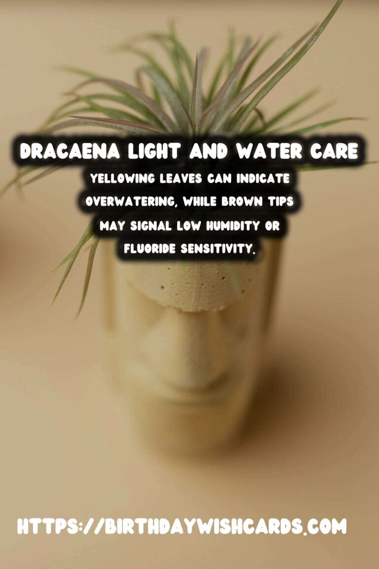 Caring for Dracaena Plants: Light and Water Needs