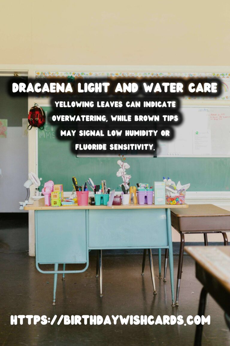 Caring for Dracaena Plants: Light and Water Needs