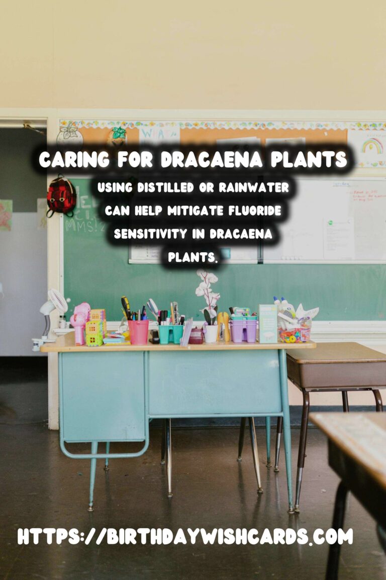 Caring for Dracaena Plants: Understanding Brown Tips and Edges