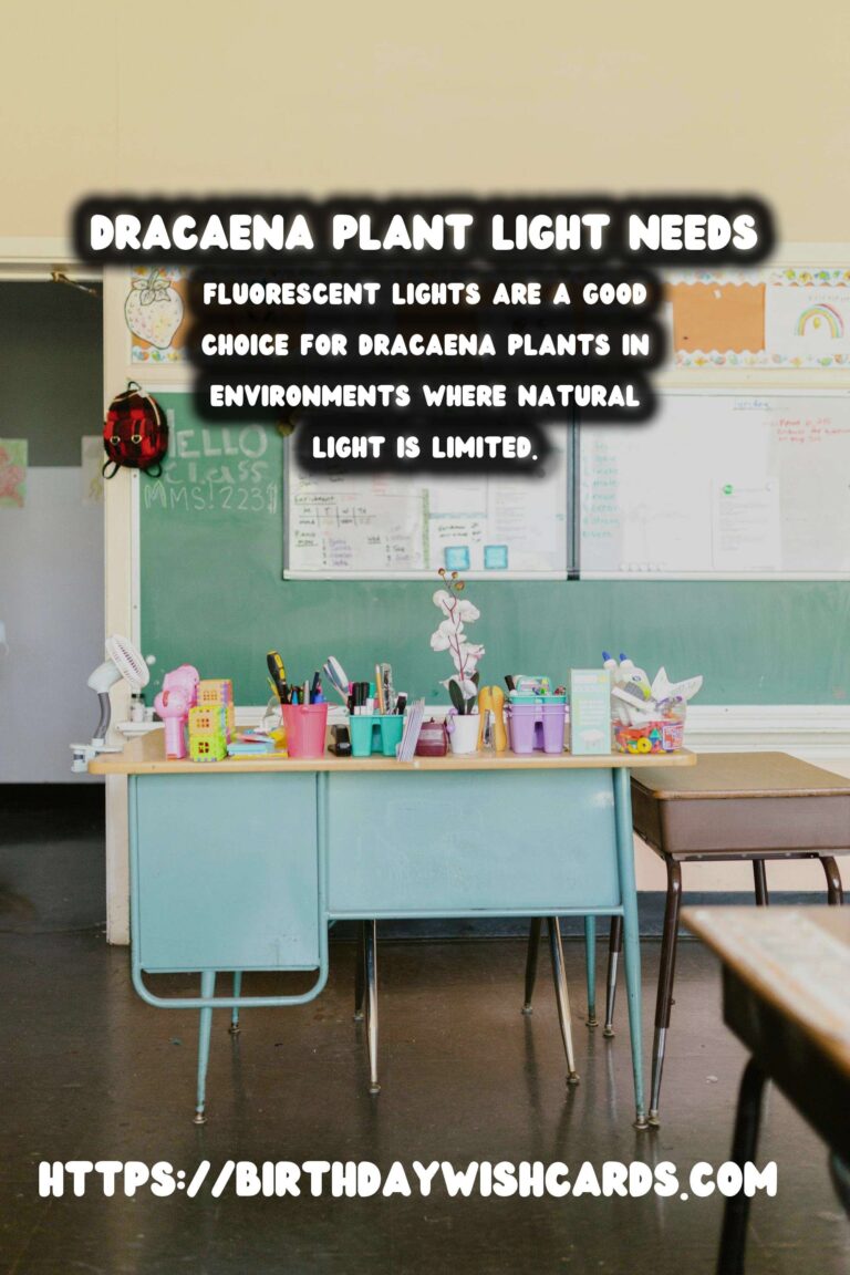 Caring for Dracaena Plants: Understanding Light Requirements