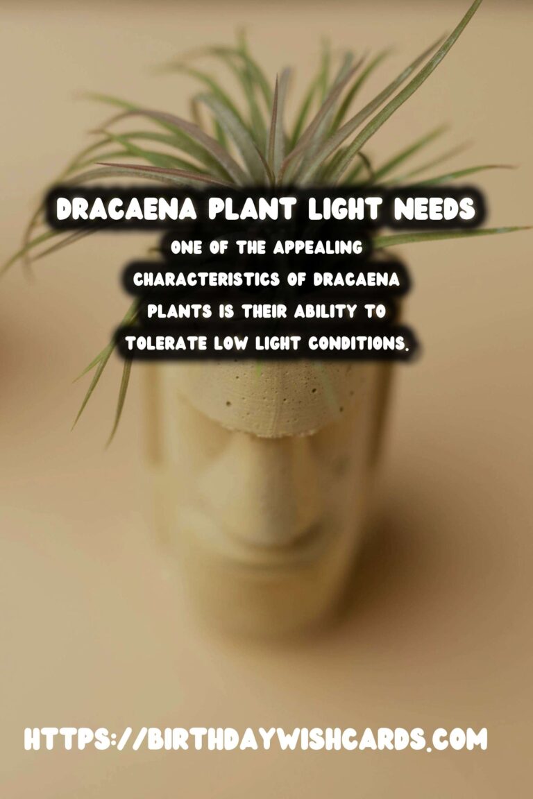 Caring for Dracaena Plants: Understanding Light Requirements